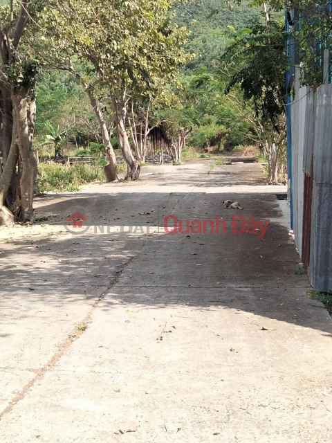 Bán lô đất đẹp phước hạ, phước đồng , 2 mặt tiền đường oto 6m. Đường vào 6m và 9m _0