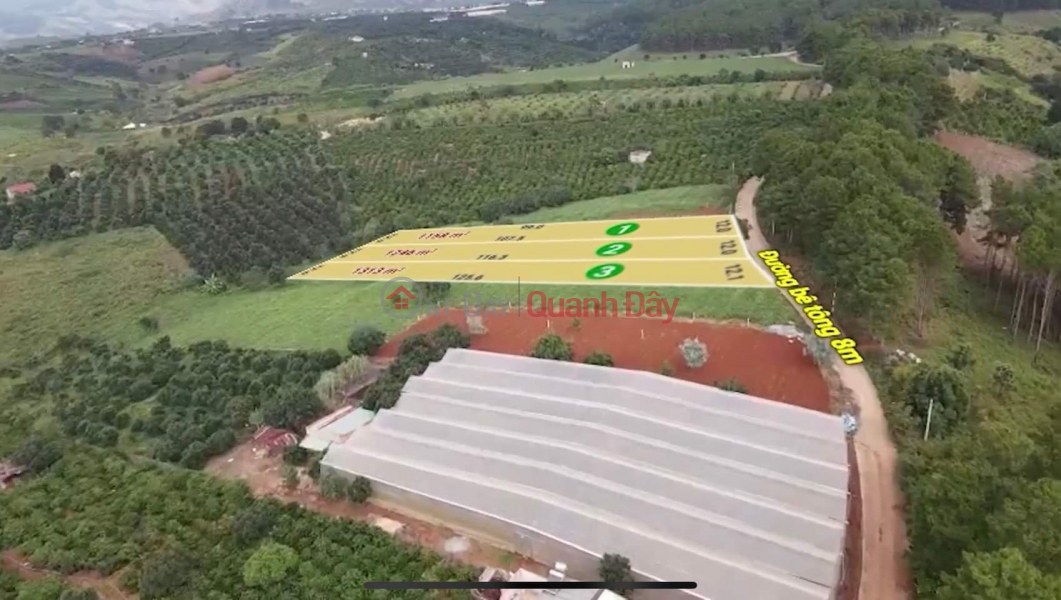 Property Search Vietnam | OneDay | Residential | Sales Listings | AT THE END OF THE YEAR, THE OWNER LOST THE BANK Needs To Sell Urgently 3 Lots Of Land In The Suburbs Of Da Lat City