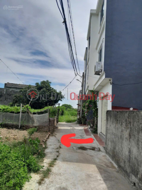 Need to sell 56m2 land plot, lane 54 Trang Cat, Hai An. _0