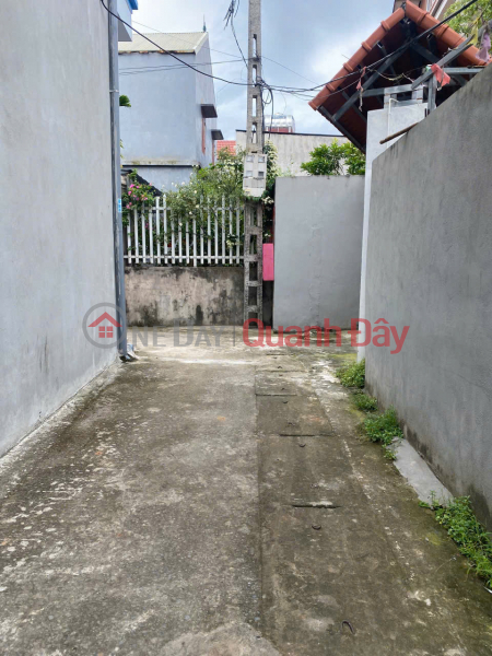 Bán 100m Đất Thôn Bạch Đa, Mê Linh - Giá Tốt Đầu Tư, Gần Đường Vành Đai 4, Việt Nam Bán | đ 2,25 tỷ