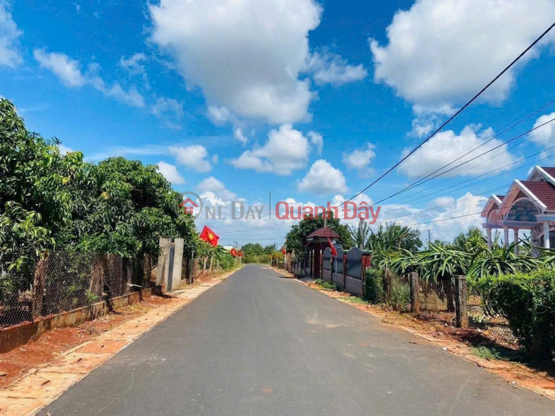 INVESTMENT IS PROFITABLE - Owner Selling Beautiful Plot of Land in Bung Rieng Commune, Xuyen Moc District, Ba Ria Vung Tau | Vietnam Sales, đ 2.5 Billion