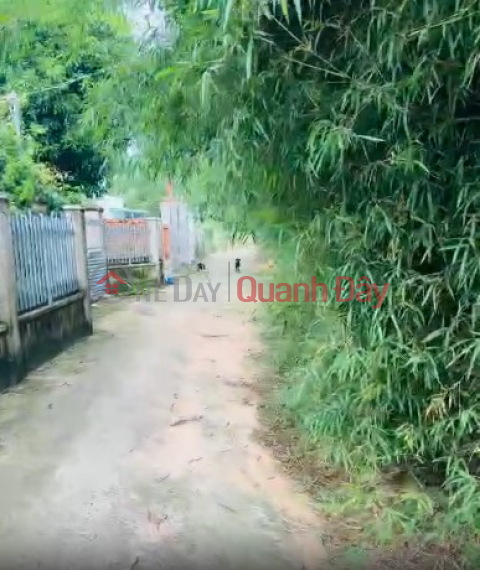 BEAUTIFUL, 1 OF 2 LOT OF LAND FOR SALE - Super Investment Price - Phuoc Thuan - Xuyen Moc - Ba Ria Vung Tau _0