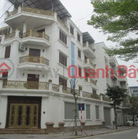 New house for rent by owner, 75m2,4T, office, business, restaurant, Lang Yen-20M _0