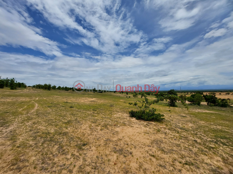 Property Search Vietnam | OneDay | Niêm yết bán | 3.997m2 đất vườn, sát bên đường quy hoạch xuống biển