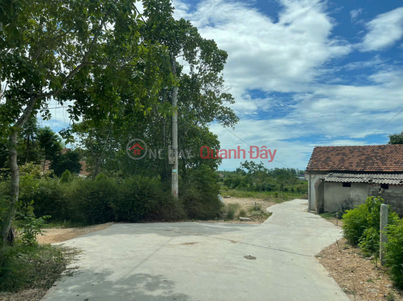 Land for sale on Nguyen Viet Xuan Street – Thanh Thuy Ward (Thuy Phuong) – Hue City Sales Listings