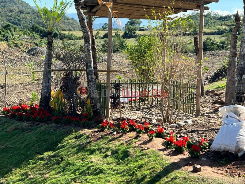 SUPER BEAUTIFUL LAND - INVESTMENT PRICE - Need to sell a plot of land in Phuoc Trung commune, Ninh Thuan | Vietnam, Sales | đ 5.3 Billion