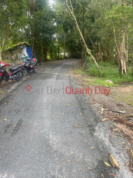 OWNER Needs to Sell Quickly LOT OF LAND Beautiful Location In Vi Thanh City, Hau Giang Province Sales Listings