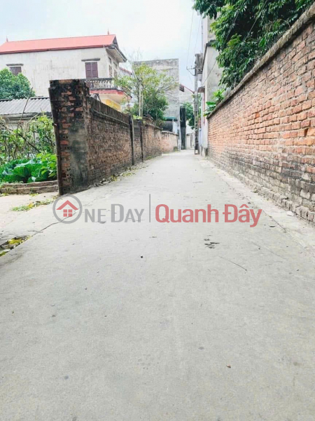 Property Search Vietnam | OneDay | Residential, Sales Listings, Owner Needs to Sell Urgently a Lot of Land in Car Lane at Dong Xa Village, Dai Dong, Van Lam, Hung Yen.