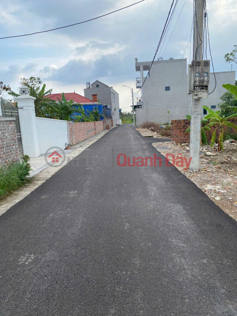 Beautiful Land - Good Price - Owner Needs to Sell a Lot of Land in a Good Location in Thuy Nguyen, Hai Phong City _0