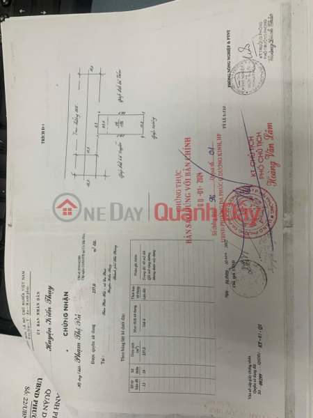 PRICE 5X MILLION VND\\/M² – LARGE PLOT OF LAND ON 355 MAC DANG DOANH ROAD, RARE OPPORTUNITY. CONTACT US VIA ZALO 0567 222 555 Sales Listings