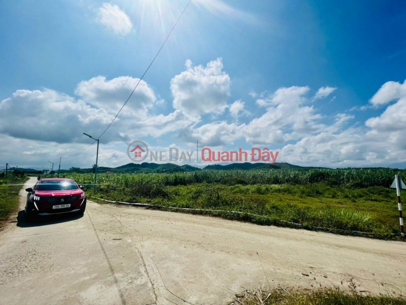 Đất làm fam Diên Đồng Vietnam | Sales đ 749 Million
