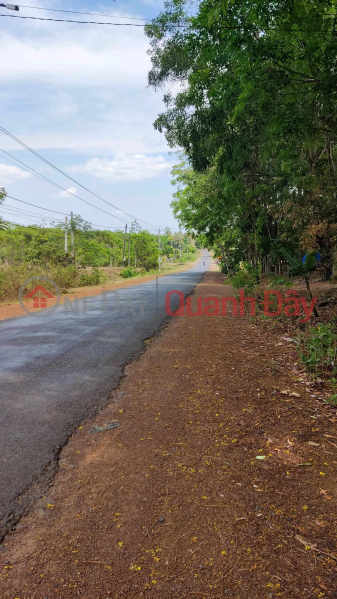 đất nền lộc thành lộc ninh đầu tư siêu lời Sales Listings