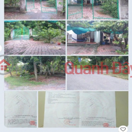 Owner Needs to Quickly Sell Land Fronting Road 31B in Nhon Phu Commune, Mang Thit District, Vinh Long Province _0