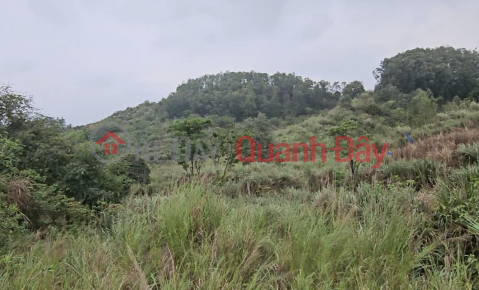 BEAUTIFUL LAND AT GOOD PRICE - OWNERS NEED TO SELL HILLS QUICKLY LOT OF HILLS IN Bac Son Ward, Bim Son, Thanh Hoa _0