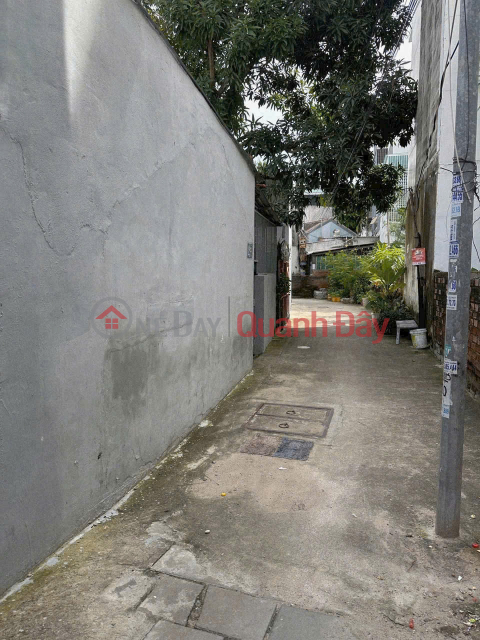 Two plots of land for sale right next to VCN Phuoc Hai, Nha Trang — Adjacent to many surrounding urban areas. _0