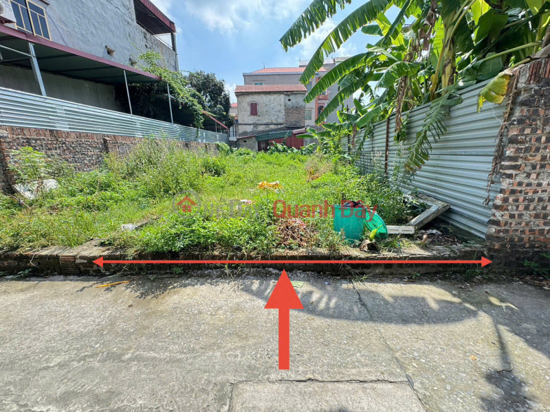 Land for sale in Mai Dinh, Soc Son, Hanoi. Square plot of land like A4 sheet, very nice for investment or house building, Vietnam Sales đ 2.5 Billion