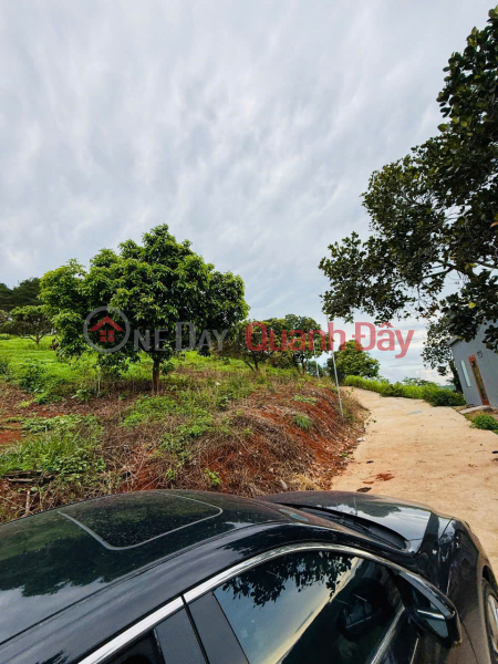 đ 980 Million | OWNER SELLING 3 ADJACENT RESIDENTIAL LAND PLOTS WITH 2 ROAD FRONTAGES IN ME LINH COMMUNE, LAM HA DISTRICT, LAM DONG PROVINCE