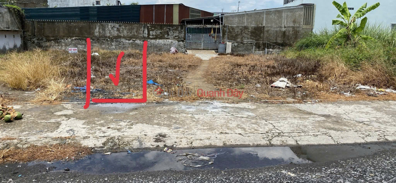 Property Search Vietnam | OneDay | Residential, Sales Listings | BEAUTIFUL LAND - FRONTAGE - Owner Needs to Quickly Sell Lot in Prime Location in Thanh Quoi, Long Ho, Vinh Long