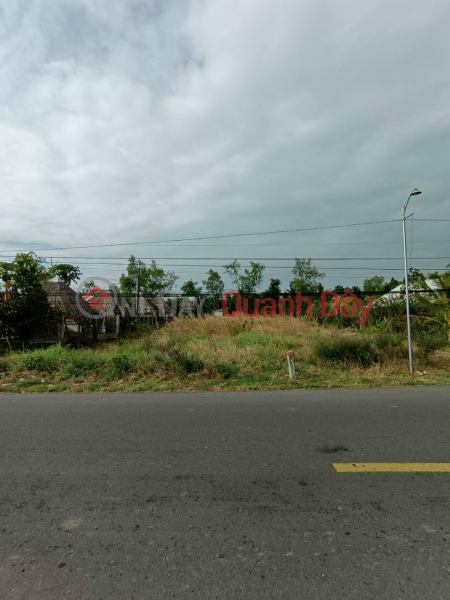 OWNER Needs to Urgently Sell Land Frontage TL 908 In Thanh Trung Commune, Binh Tan, Vinh Long Sales Listings