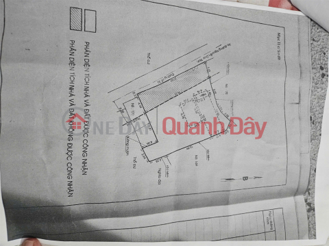 Chính Chủ Bán Nhanh Lô Đất tại Đường Số 31, Phường Bình Trưng Tây (Quận 2 cũ),TP Thủ Đức, HCM _0