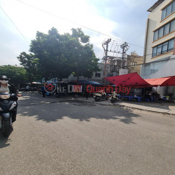 Cơ hội đầu tư tuyệt vời: Biệt thự vườn sang trọng Đa Tốn, GL - Giá rẻ bất ngờ! Lh 0989894845 | Việt Nam Bán đ 25,0 tỷ
