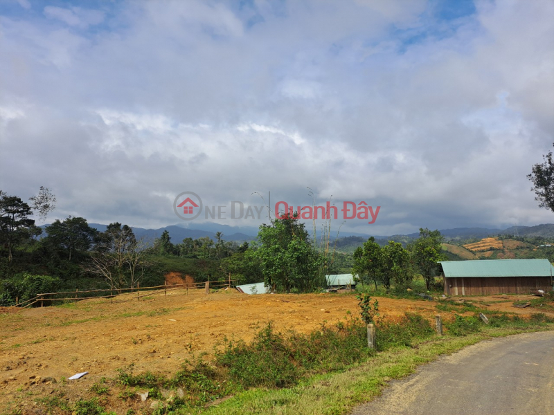 HOME OWNER NEEDS MONEY TO PAY DEBT URGENTLY SELL MANG DEN LOT OF LAND AT SUPER CHEAP PRICE, Vietnam, Sales, đ 150 Million