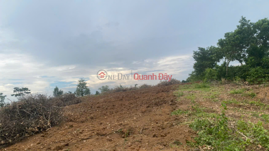 Chính chủ bán đất Bắc Sơn, Đắk Mil, Lâm Đồng - 2,75ha, cách QL14 chỉ 400m, có hồ 2.000m3 Niêm yết bán