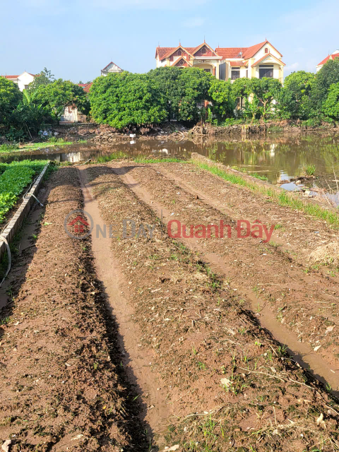 Land for sale on Duc Nhuan main road 127m view investment price _0