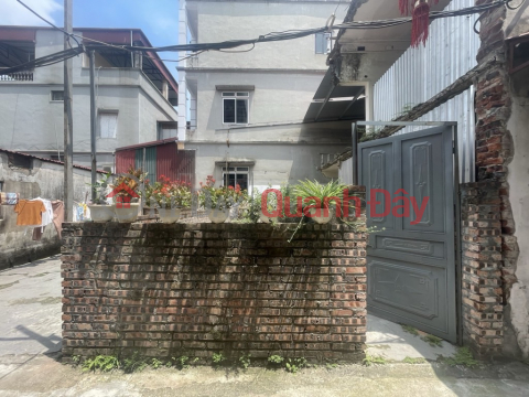 ĐẤT PHÚC LỢI - 30M RA MẶT PHỐ - NỞ HẬU ĐẸP - Ô TÔ ĐỖ CỔNG! _0