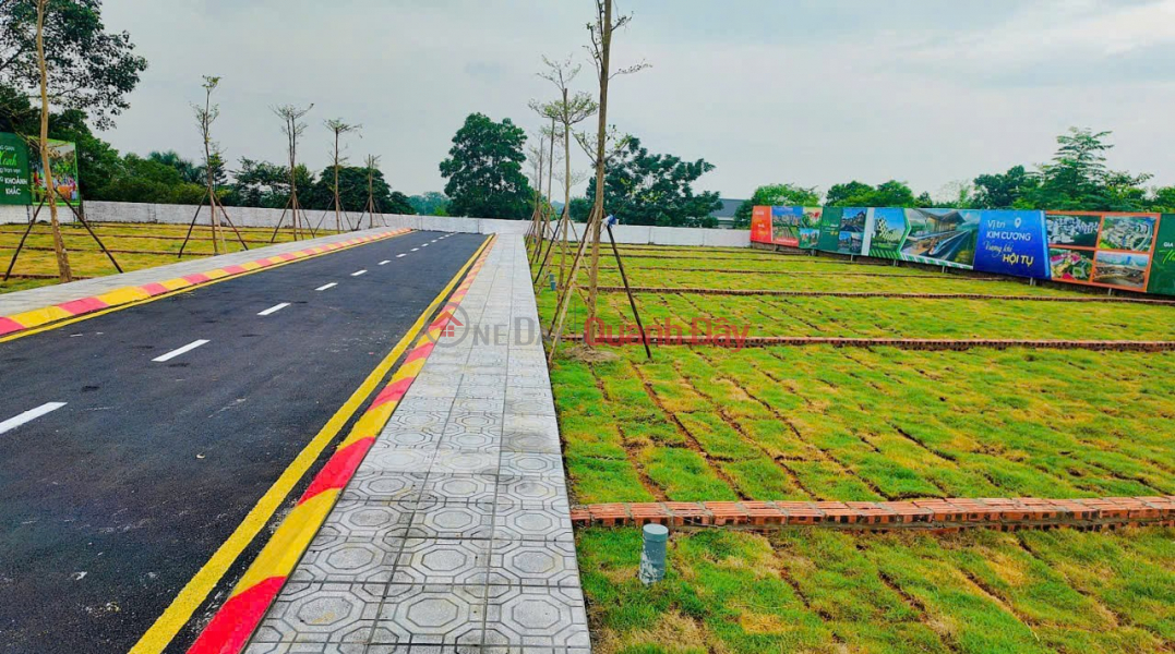 BEAUTIFUL LAND - GOOD PRICE - Potential Land for Sale in Phu Cat - Hoa Lac, Hanoi Sales Listings