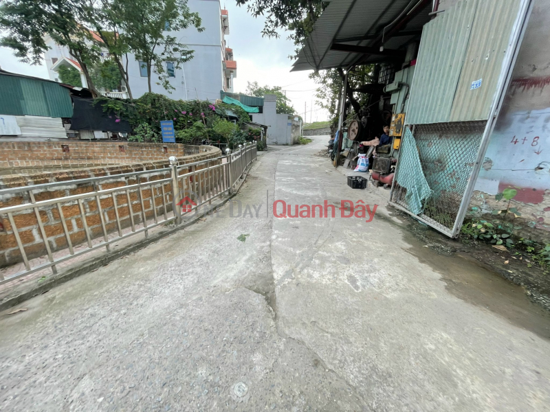 Property Search Vietnam | OneDay | Nhà ở | Niêm yết bán 60 m2 đất vuông vức tại thôn 2 Quảng Bị giá mềm như bún nhanh chân thì còn cơ hội.
Liên hệ e Thắng:0982963222