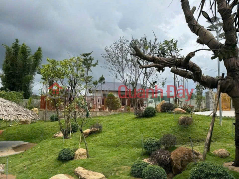 BÁN ĐẤT – BÁN NHÀ KHU DÂN CƯ MAI ANH ĐÀO – PHÚ HỘI – ĐỨC TRỌNG _0