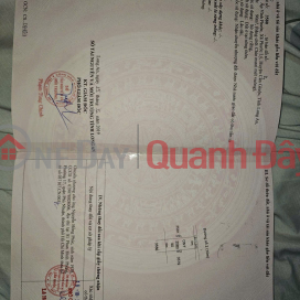 ĐẤT ĐẸP – GIÁ TỐT – CHÍNH CHỦ CẦN BÁN TẠi Xã Phước Lý , Cần Giuộc Long An _0