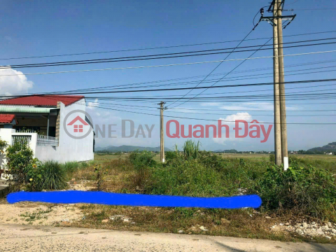 OWNER'S LAND - Good price - Beautiful location in Truong Thanh village, Dien Thanh commune, Dien Khanh, Khanh Hoa _0