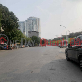 Ngoc Thuy garden villa for sale, 190m x 4 floors, 7.6m frontage, car access, rear expansion _0