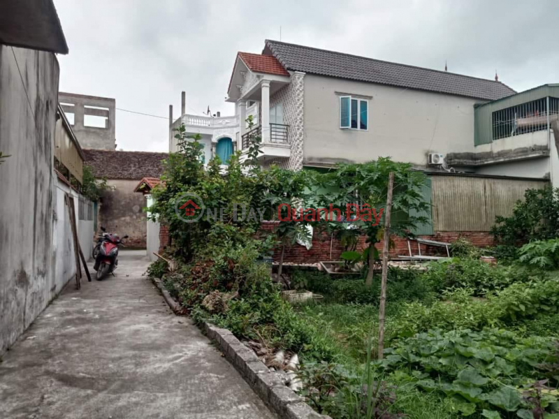 Property Search Vietnam | OneDay | Residential, Sales Listings Consignment for sale 125m2, price only 2x million\\/m2, Tk4, Phu Huu, Phu Nghia, Chuong My, Hanoi, car, alley front, divided into 2 lots.