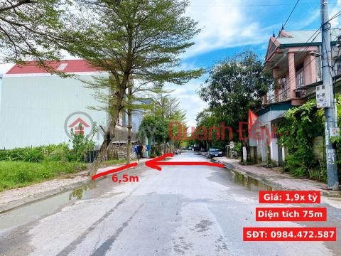 The family needs money for business and urgently sells a plot of land in an adjacent area, a villa in Hanoi City _0