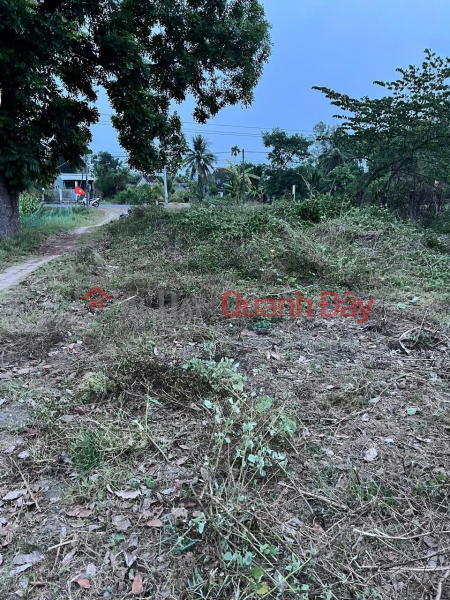 LAND FOR SALE - PRIME LOCATION - GOOD PRICE - Ngan Dien Hamlet, Son Ha Commune, Son Hoa District, Phu Yen Province Vietnam, Sales đ 790 Million