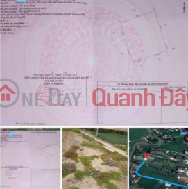 OWNER Needs to Quickly Sell Perennial Land in Tan Dong Commune, Go Cong Dong, Tien Giang _0