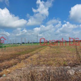 Own 02 Adjacent Land Lots With Beautiful Location In Lai Vung, Dong Thap _0