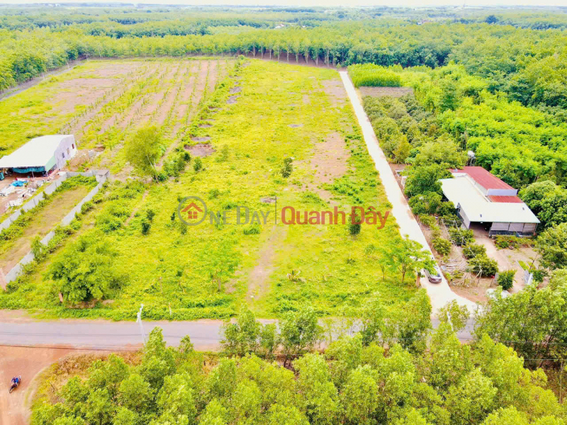 Làm ơn chọn Nhà ở Niêm yết bán đ 190 triệu