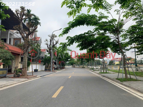 BÁN ĐẤT TRUNG TÂM ĐÔNG ANH - HÀ NỘI 79M² GIÁ 6,8 TỶ _0