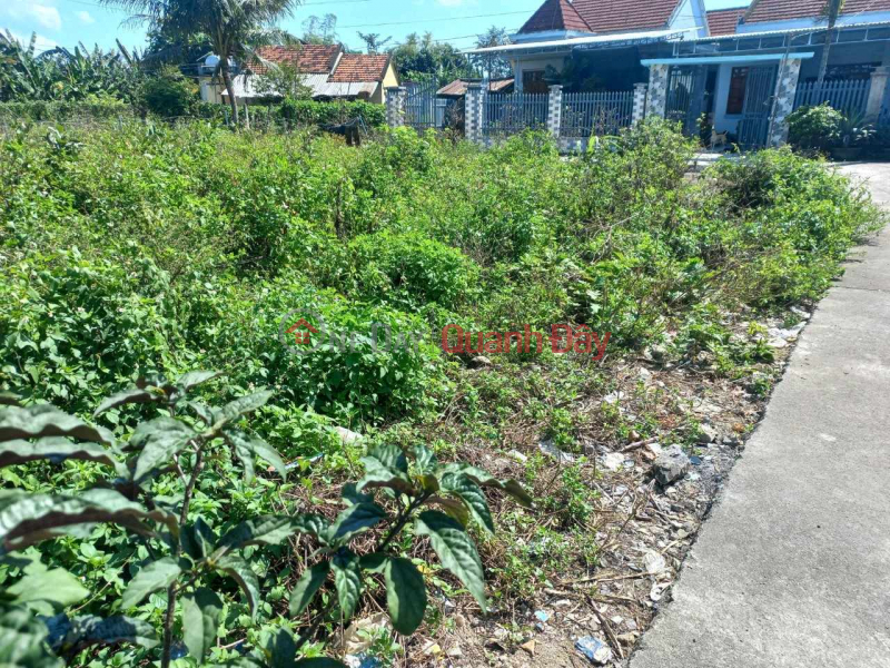 land for sale in Dien Hoa 890 (million) Sales Listings (SANGBDSREAL-520304814)