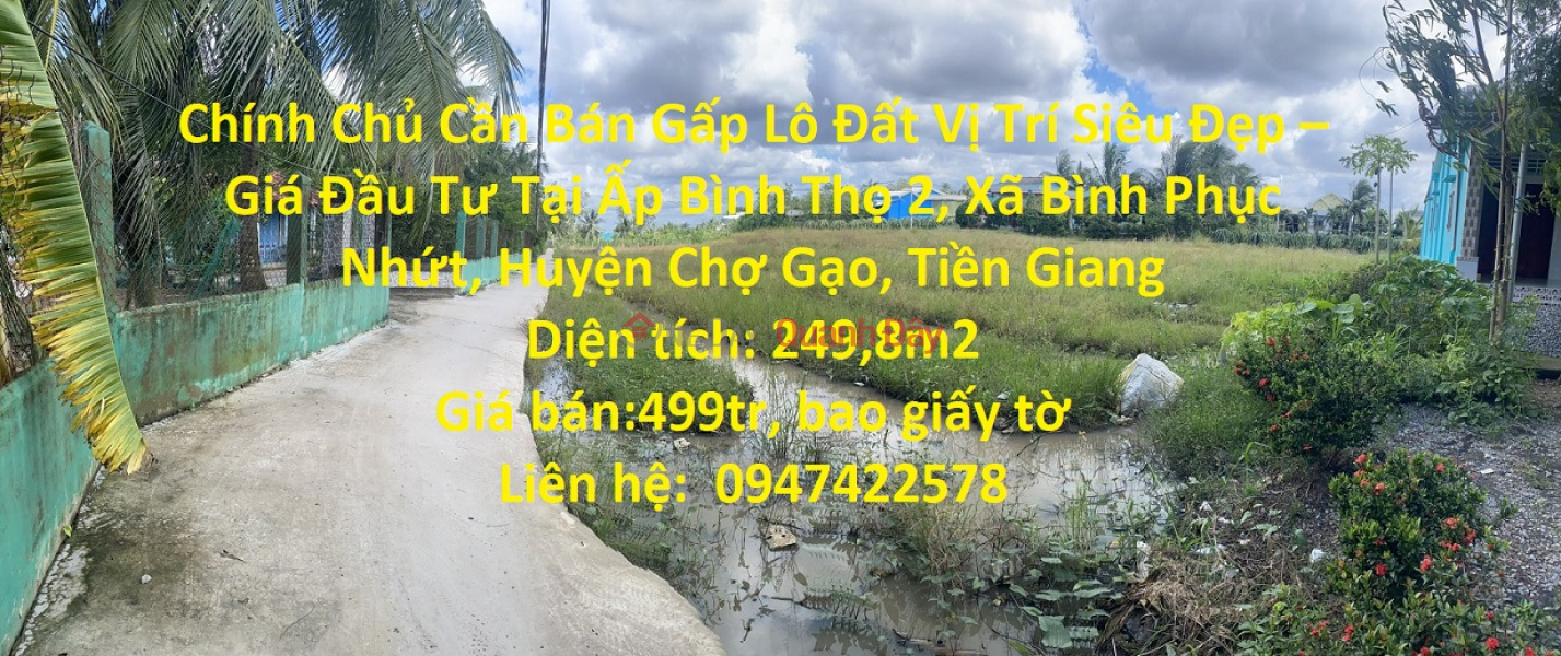 Owner Needs Urgent Sale of Land Lot Super Nice Location - Investment Price In Cho Gao Sales Listings