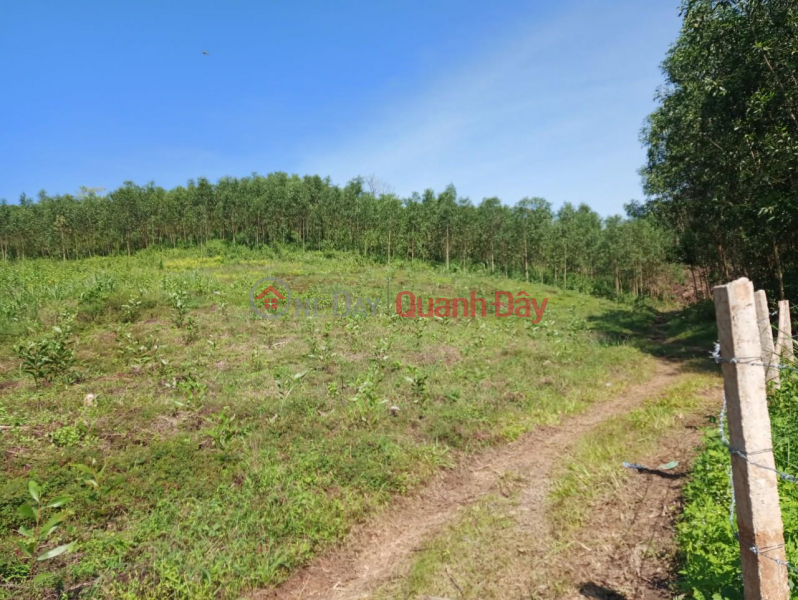 Beautiful Land - Good Price - Owner Needs to Sell Land Lot in Nice Location In Khanh Nam Commune, Khanh Vinh Vietnam | Sales, đ 1.44 Billion
