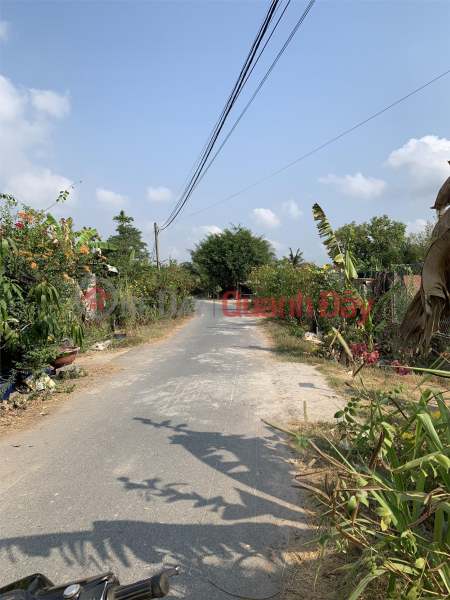Property Search Vietnam | OneDay | Residential | Sales Listings Beautiful Land - Good Price Owner Quickly Sells Land Plot At Vo Thi Thuoc Street, Trung Lap Ha Commune, Cu Chi, HCM