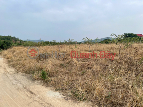 OPPORTUNITY TO OWN LAND IN CHU TOWN - BAC GIANG FROM ONLY 400-660 MILLION VND! _0