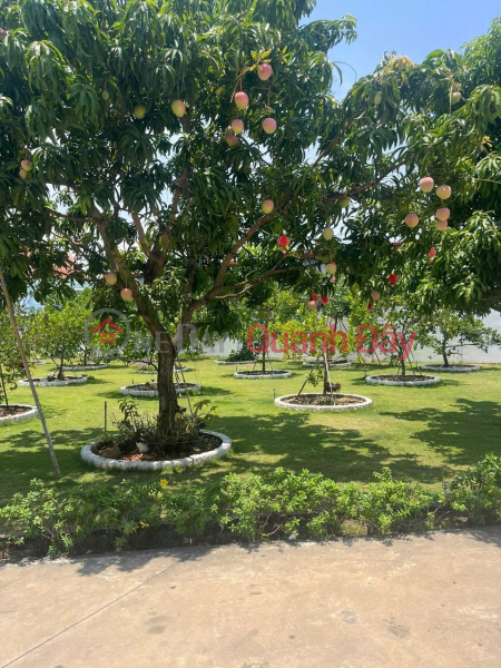  | Làm ơn chọn, Nhà ở | Niêm yết bán, đ 28 tỷ