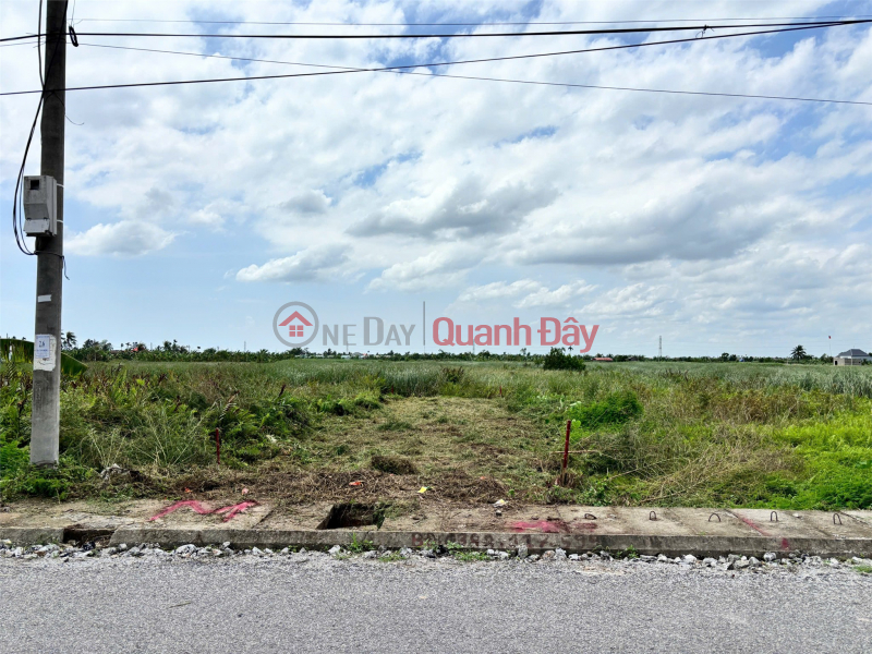 Property Search Vietnam | OneDay | Residential, Sales Listings | Land on Quyet Tien – Hop Duc – Do Son street, 150m², price only 16.5 million\\/m²! ZALO 0567 222 555