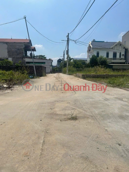 Beautiful land in Ấp Tre village (Group 9, Quang Minh),Mê Linh. Square plot, wide frontage, grid-patterned road network. Sales Listings